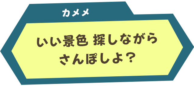 カメメ：いい景色　探しながらさんぽしよ？