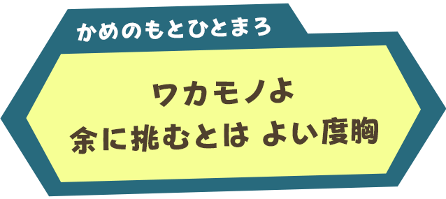 かめのもとひとまろ：ワカモノよ　余に挑むとは　よい度胸